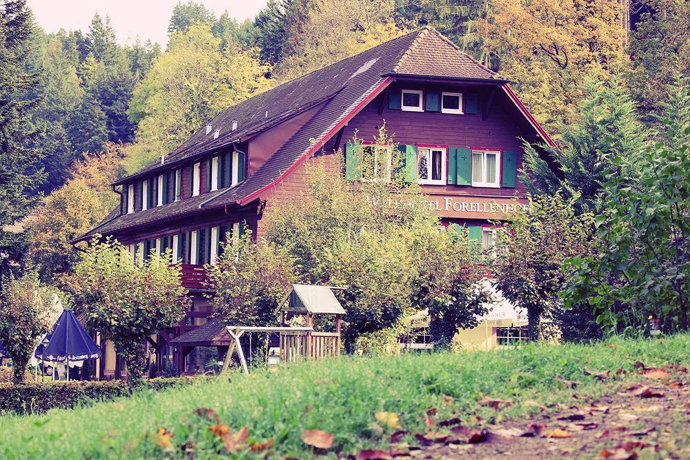 Waldhotel Forellenhof Баден-Баден Экстерьер фото